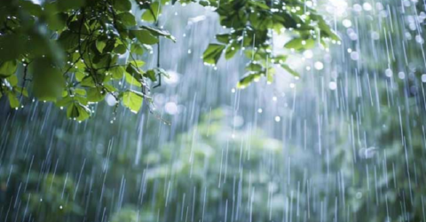 বৃষ্টি কবে হতে পারে, জানাল আবহাওয়া অফিস