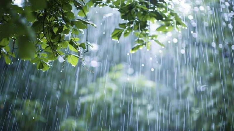 বৃষ্টি কবে হতে পারে, জানাল আবহাওয়া অফিস