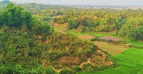 টেকনাফের পাহাড় থেকে ১৯ শ্রমিক অপহরণ