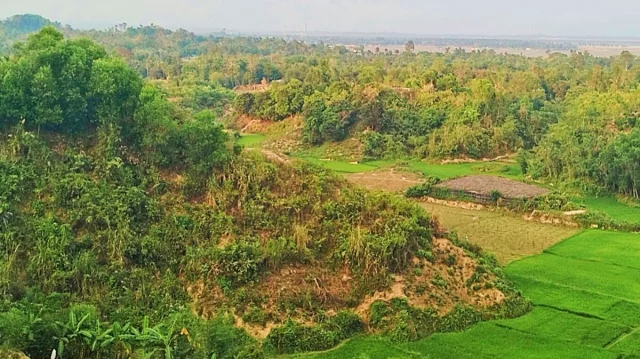 টেকনাফের পাহাড় থেকে ১৯ শ্রমিক অপহরণ