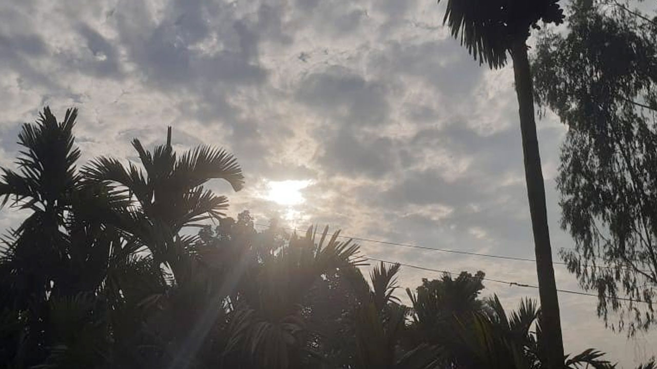 পঞ্চগড়ে কাটল মৃদু শৈত্যপ্রবাহ, তাপমাত্রা ১২ দশমিক ৯ ডিগ্রি