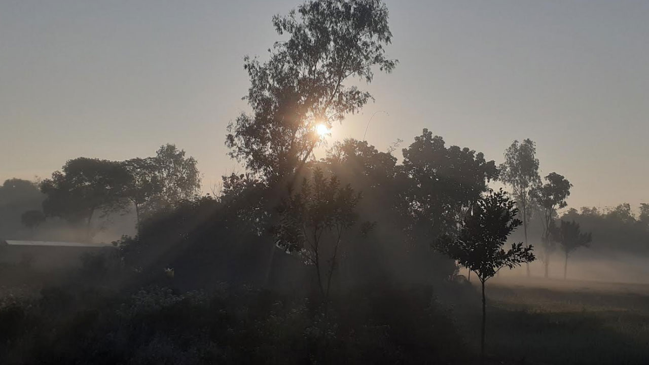 পাঁচ দিন ধরে শৈত্যপ্রবাহে কাঁপছে পঞ্চগড়