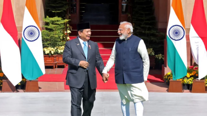 মোদির প্রশংসা করে ইন্দোনেশিয়ার প্রেসিডেন্ট বললেন, আমার ডিএনএ ভারতীয়