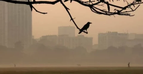চরিত্র ফিরলো শীতের, কুয়াশায় ঢেকেছে ঢাকা