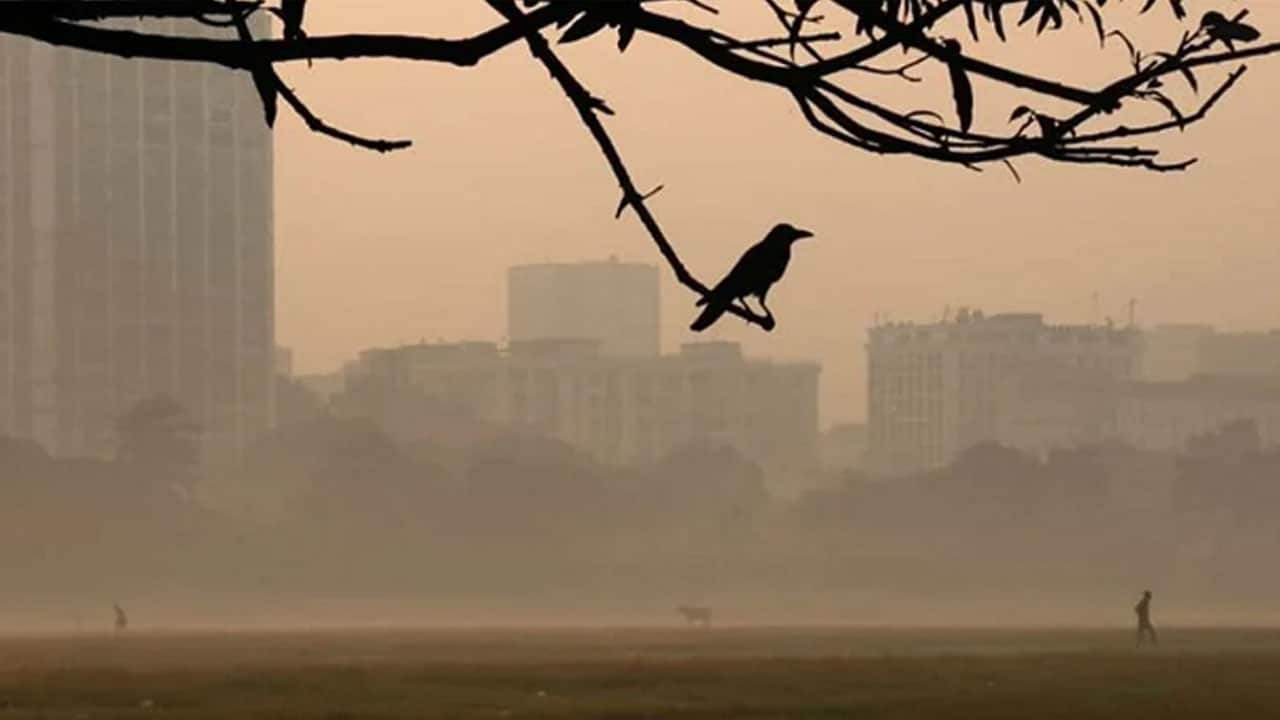 শীত বাড়বে কবে থেকে, জানাল আবহাওয়া অধিদপ্তর