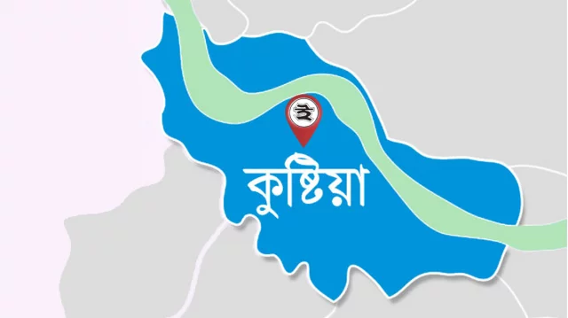 মাংস বিক্রির টাকা চাওয়ায় যুবক খুন