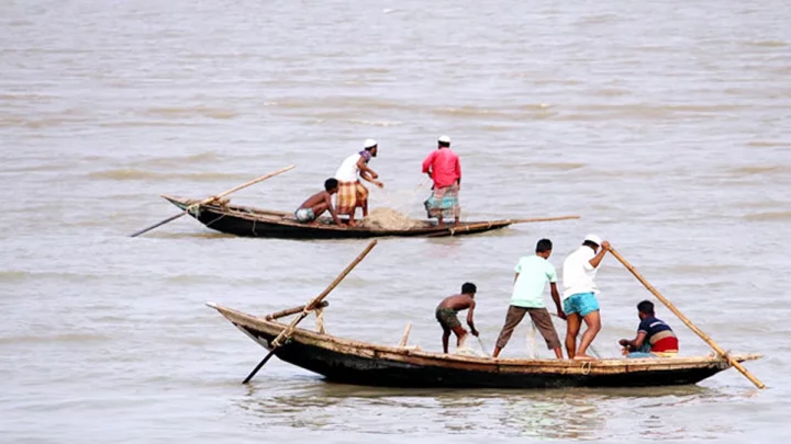 মেঘনায় বাল্কহেডের ধাক্কায় নৌকাডুবি, জেলে নিখোঁজ