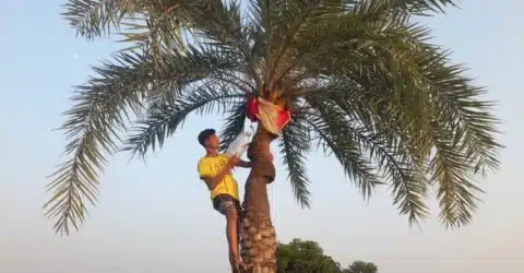 স্কুল ছাত্রের সখের ঘটিতে রসের চাহিদা মিটছে পরিবার ও স্বজনের