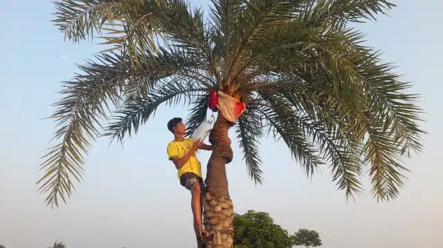 স্কুল ছাত্রের সখের ঘটিতে রসের চাহিদা মিটছে পরিবার ও স্বজনের
