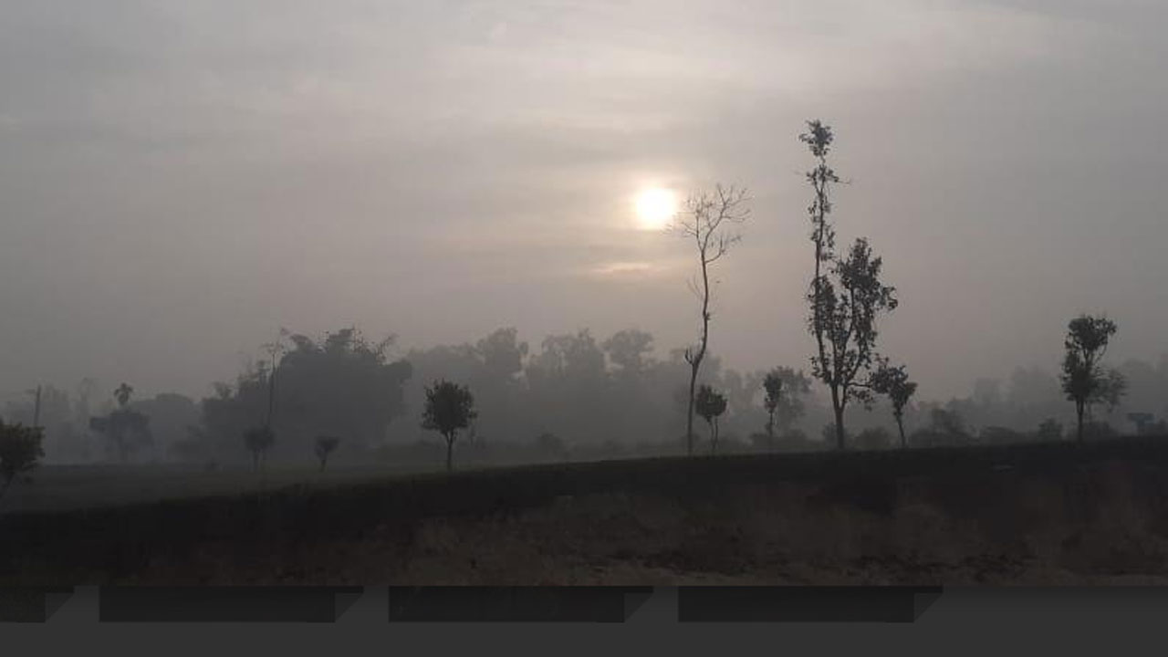 জলবায়ু পরিবর্তনে বদলাচ্ছে শীত