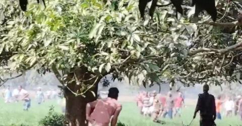 বাংলাদেশে ঢুকে গাছের ডাল কাটল বিএসএফ, সীমান্তে উত্তেজনা