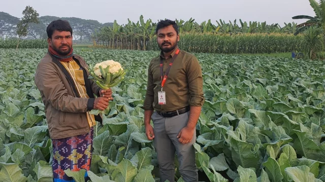 হতাশ হয়ে পড়া মেহেরপুরের কৃষকের পাশে ‘স্বপ্ন’