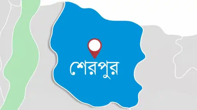 মানসিক ভারসাম্যহীন ছোট বোনকে হত্যার অভিযোগে বড়ভাই আটক