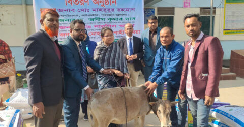 গাজীপুরে ক্ষুদ্র-নৃগোষ্ঠীর ৫০ পরিবারের মধ্যে ষাঁড় বাছুর বিতরণ