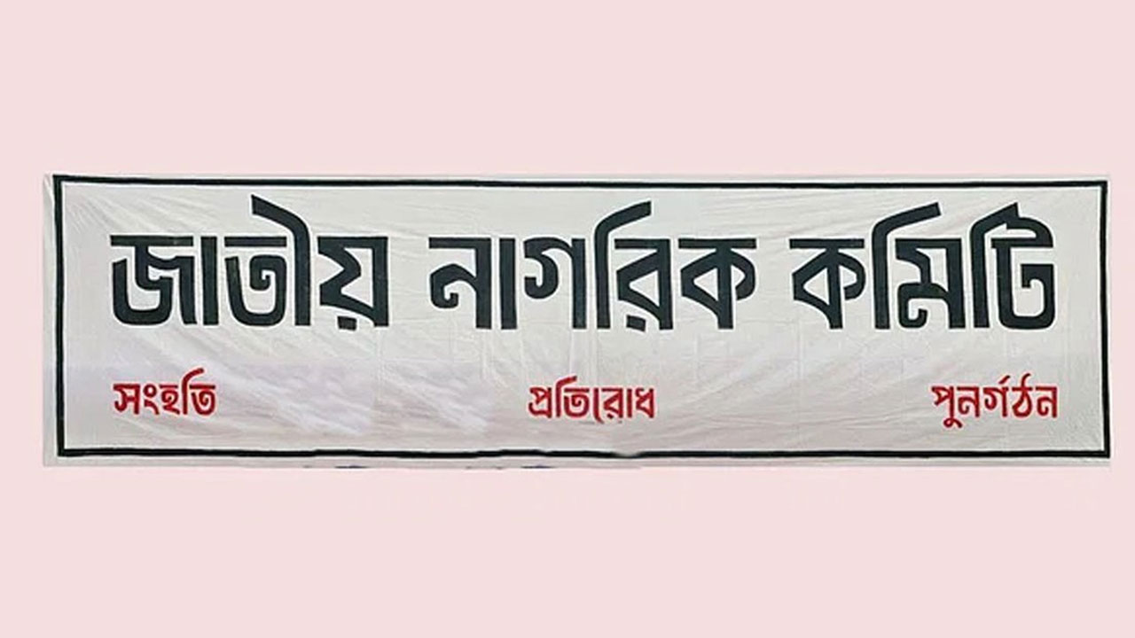 প্রবাসীদের জন্য ‘ডায়াস্পোরা সেল’ গঠন করল নাগরিক কমিটি