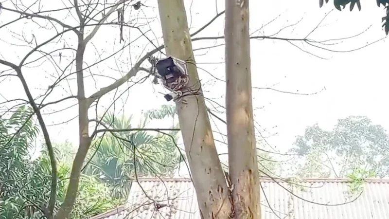 কুড়িগ্রাম সীমান্তে শূন্যরেখায় বসানো সিসি ক্যামেরাটি সরাল বিএসএফ