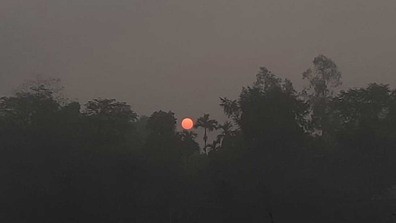সারাদেশে বাড়বে রাত ও দিনের তাপমাত্রা