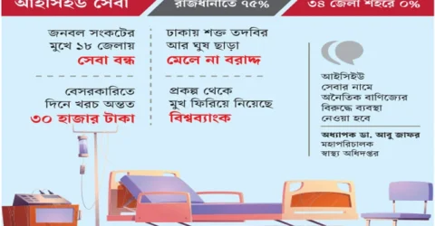 বেসরকারিতে বাণিজ্য, সরকারিতে নৈরাজ্য