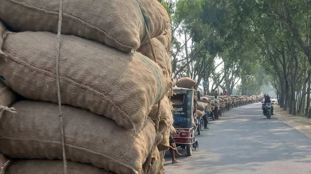 আলুর দাম ও সংরক্ষন নিয়ে চিন্তিত কৃষক
