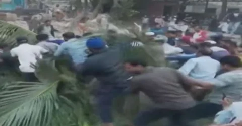 ৩২ নম্বরে গাছ ভেঙে নারকেল নিতে হুড়োহুড়ি