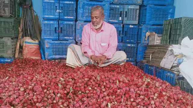 যে ফল তরকারিতে সেই ফলেই চা, কদর বাড়ছে ‘আমিলার’