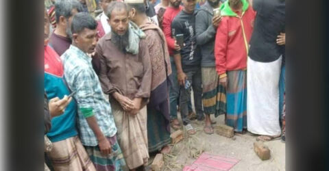 মাদরাসায় যাওয়ার পথে ট্রাকচাপায় প্রাণ গেল ভাই-বোনের