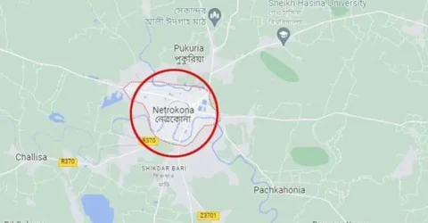 বিএনপি নেতার বাড়িতে মিলল লুটের গরু