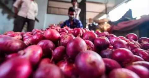 পেঁয়াজ রপ্তানির ওপর ২০ শতাংশ শুল্ক তুলে নিলো ভারত