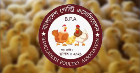 পোল্ট্রি খামার নিবন্ধন ও প্রশিক্ষণ বাধ্যতামূলক করার দাবি
