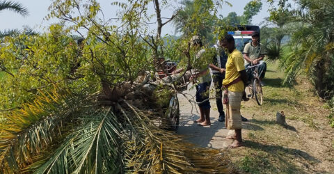 রোগীবাহী পাখিভ্যানে ছিনতাই, চালককে কুপিয়ে নগদ টাকা লুট
