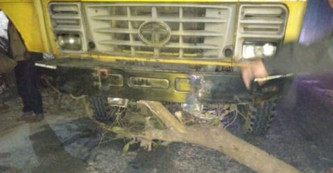 মধ্যরাতে সড়কে গাছের গুঁড়ি ফেলে প্রায় ২০ গাড়িতে ডাকাতি