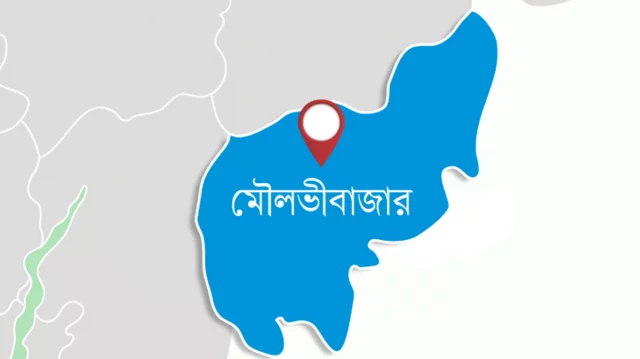 বড়লেখায় তরুণী ধর্ষণের ঘটনায় গ্রেপ্তার ১
