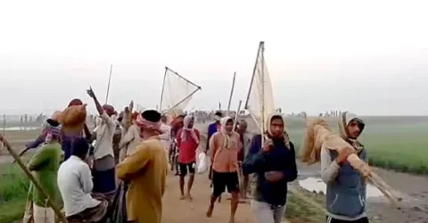 সুনামগঞ্জে ৫ দিনে ৭টি জলমহালের ৪ কোটি টাকার মাছ লুট