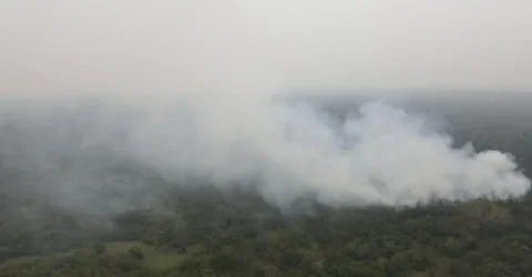 সুন্দরবনে আগুন, পানি ছিটাতে জোয়ারের অপেক্ষা