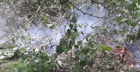সুন্দরবনের আধা কিলোমিটারজুড়ে আগুন, কাজ করছে ফায়ার সার্ভিসের ৬ ইউনিট
