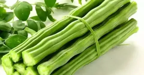 গরমে হজমের সমস্যা কমায় সজনে ডাঁটা