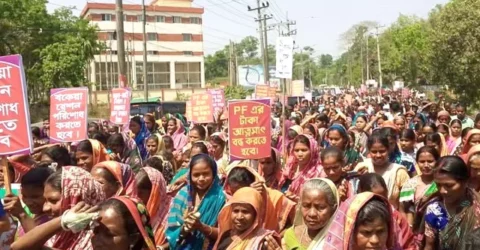 সিলেটের চা–শ্রমিকদের ১১ দফা দাবিতে বিক্ষোভ মিছিল
