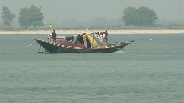 নিষেধাজ্ঞা অমান্য করে পদ্মায় অবাধে চলছে ইলিশ শিকার