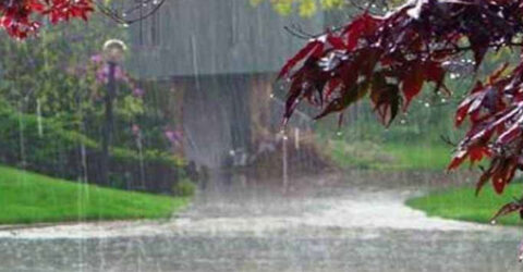 সারাদেশে বজ্রসহ বৃষ্টির আভাস