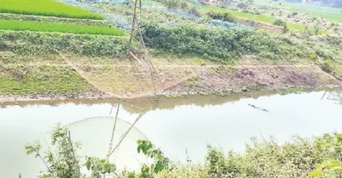 টাঙ্গাইলে নদীর বুকে চলছে পুকুর খনন
