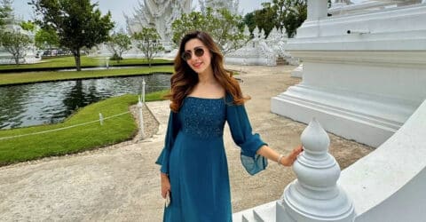 নজরকাড়া লুকে বিদ্যা সিনহা মিম