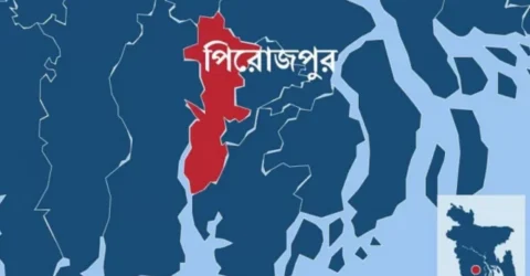 পিরোজপুরে পূর্বশত্রুতার জেরে ১৫০০ কলাগাছ কর্তন