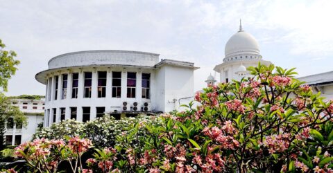 বনশ্রীর মেরাদিয়ায় কোরবানির পশুর হাট বসানো যাবে না : হাইকোর্ট