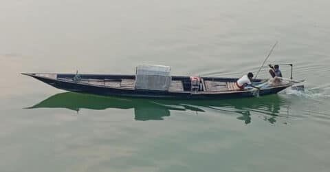 রাজবাড়ীতে শিশুদের দিয়ে চলছে জাটকা শিকার