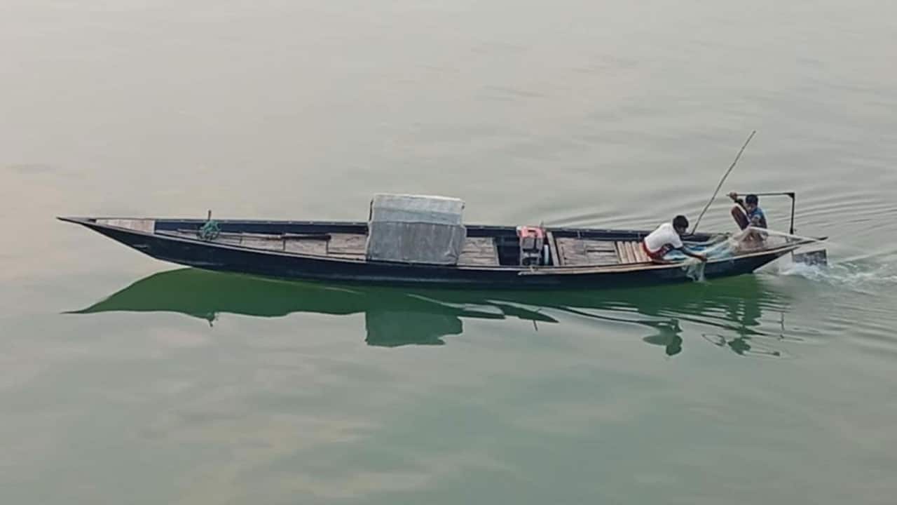 রাজবাড়ীতে শিশুদের দিয়ে চলছে জাটকা শিকার
