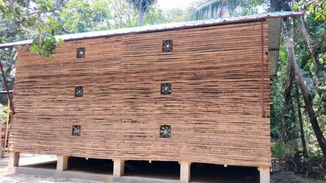 পেঁয়াজ সংরক্ষণের মডেল ঘর নির্মাণে অনিয়মের অভিযোগ, বিপাকে কৃষক
