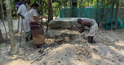 শহীদ বাবার কবরের পাশে শায়িত হবে মেয়ে