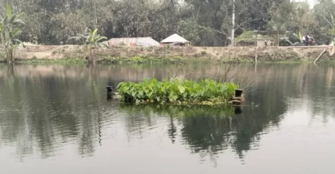 ৪০ বছর ধরে খালের পানিতে ভাসছে রহস্যময় একটি কবর!