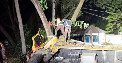 তরমুজ বোঝাই ট্রাক উল্টে চালক-হেলপার নিহত