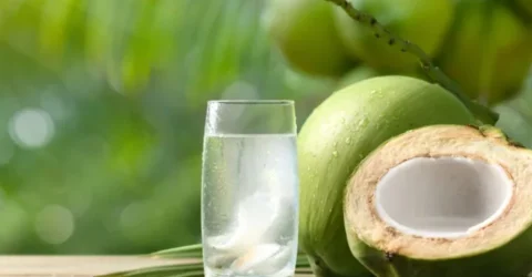 সকালে ডাবের পানি খেলে কী হয়